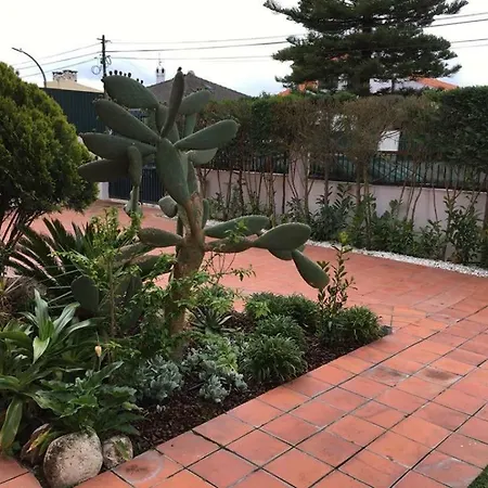 Moradia Do Pinhal * Azeitão